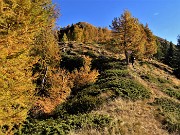 20 Seguiamo con attenzione sentierino tra larici colorati d'autunno baciati dal sole